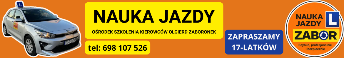 cropped-Polec-nas-i-zyskaj-dodatkowa-godzine-jazdy-GRATIS-3.png
